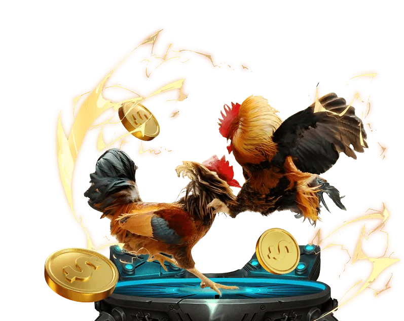 Giao diện đặt cược đá gà RS88